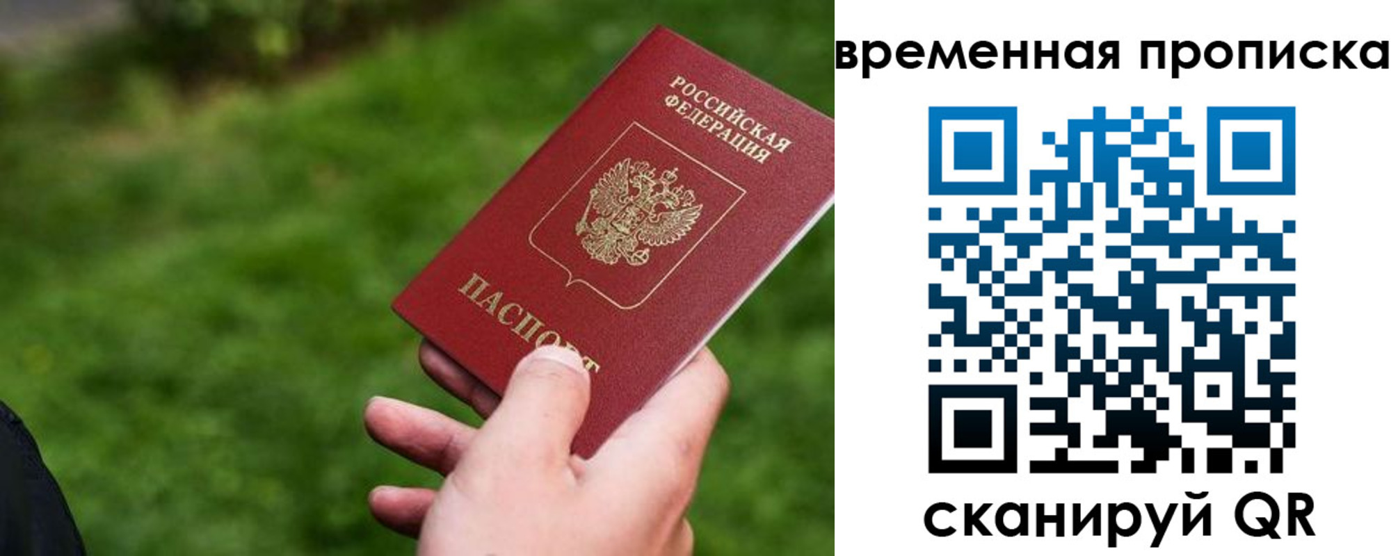 прописка 2025 в Мончегорске